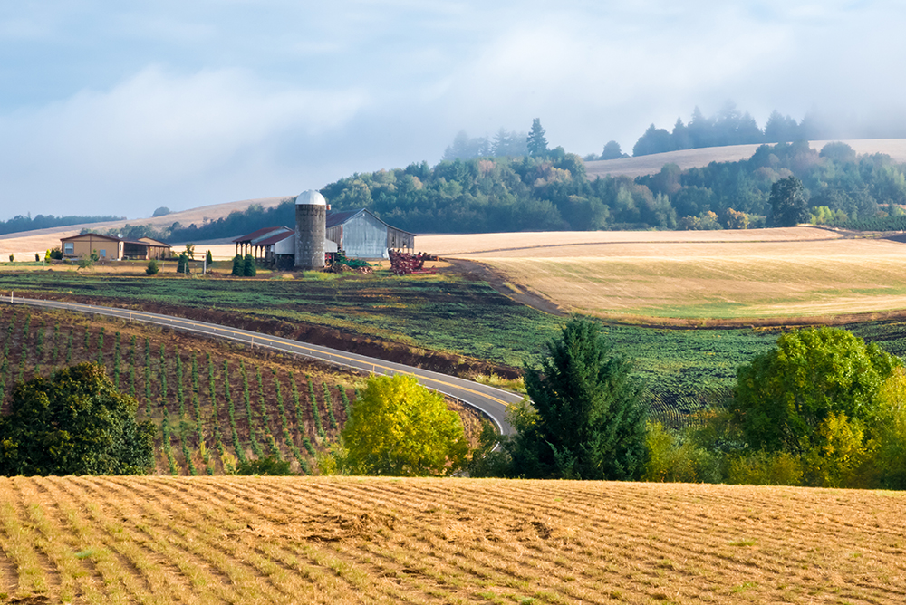 Oregon farm